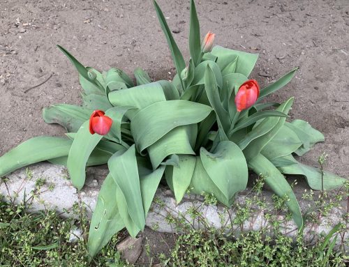 Easter in Ukraine