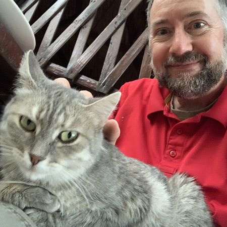 Gray tabby cat being gently petted; person smiling beside the cat